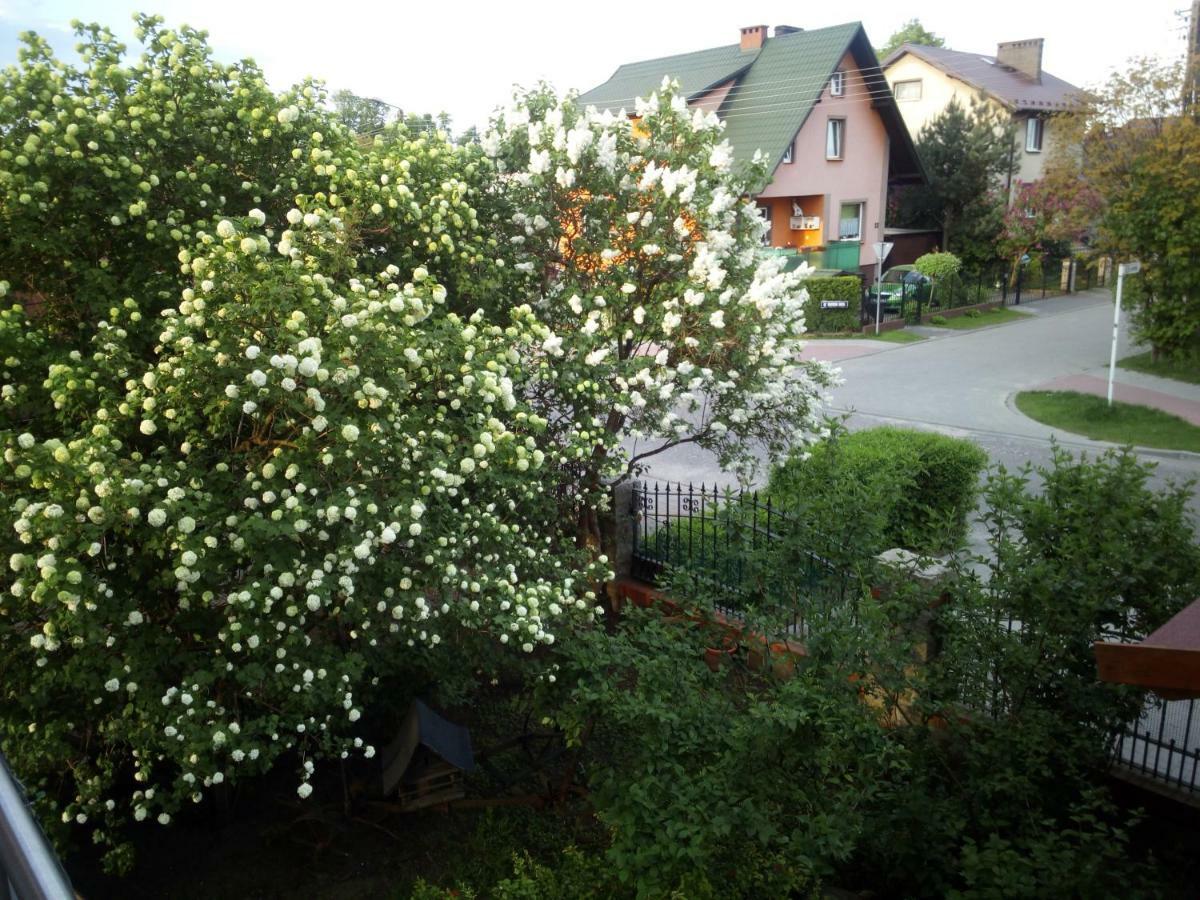 Apartament Mieszkanie na zielonej Człuchów Zewnętrze zdjęcie